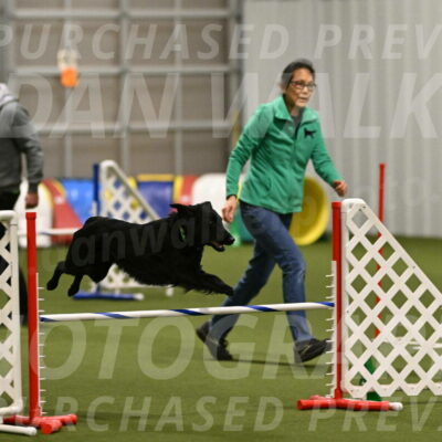 Zinnia-Deborah-Ting-03233