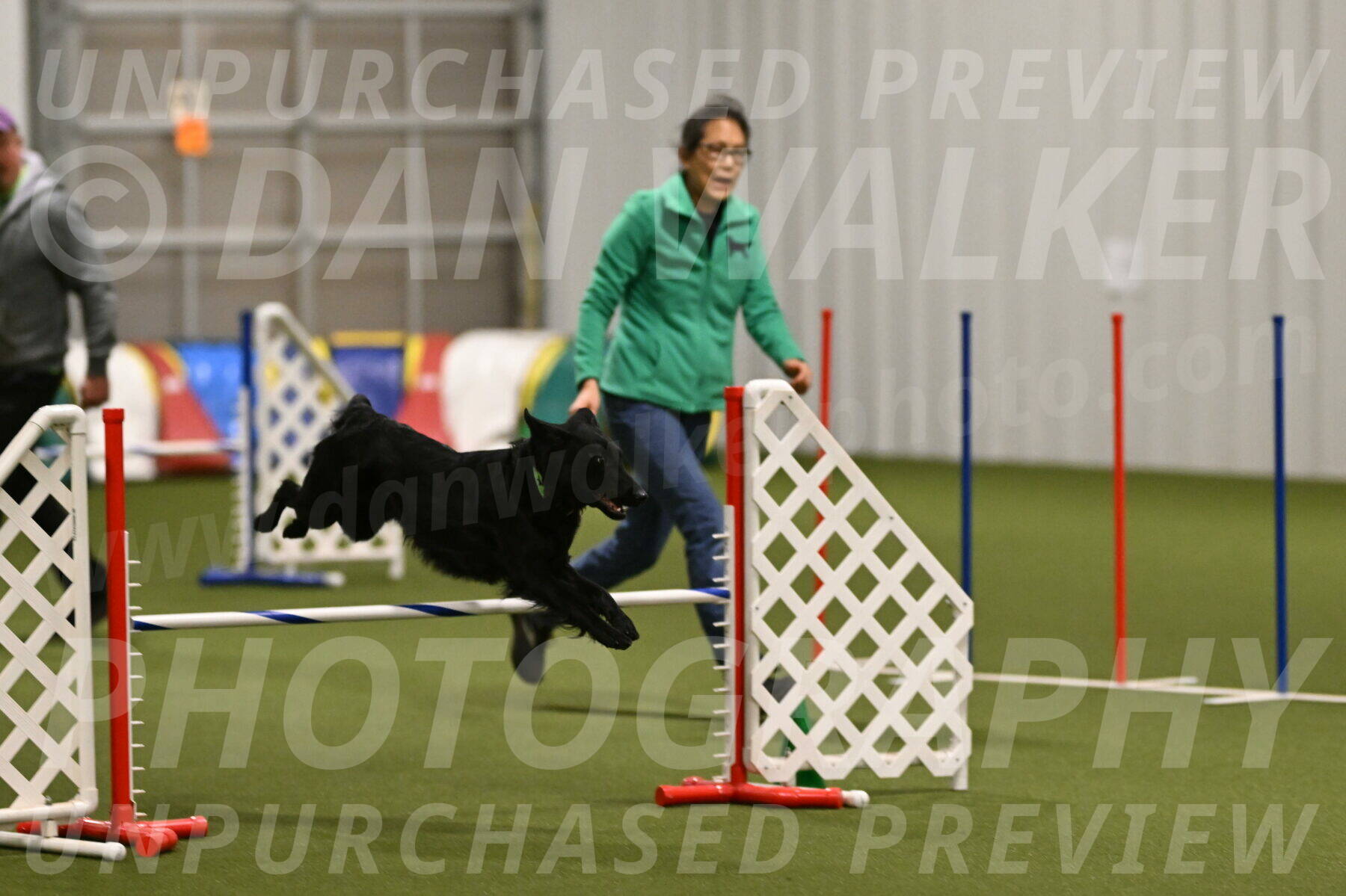 Zinnia-Deborah-Ting-03234