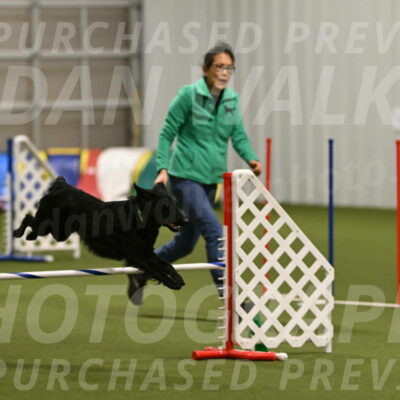 Zinnia-Deborah-Ting-03234