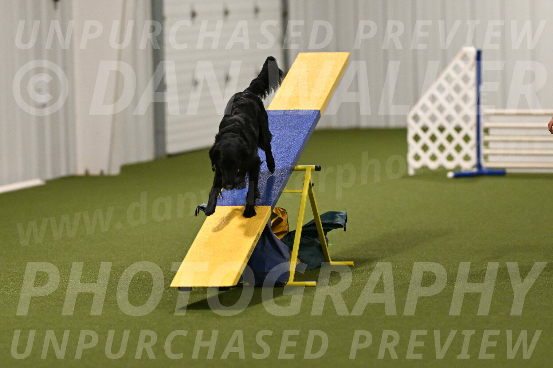 Zinnia-Deborah-Ting-03235