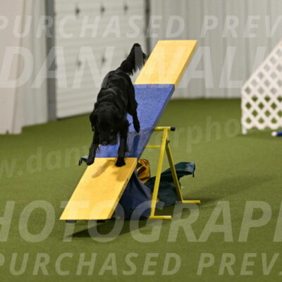 Zinnia-Deborah-Ting-03235