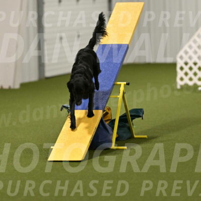 Zinnia-Deborah-Ting-03236