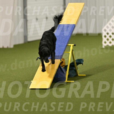 Zinnia-Deborah-Ting-03237