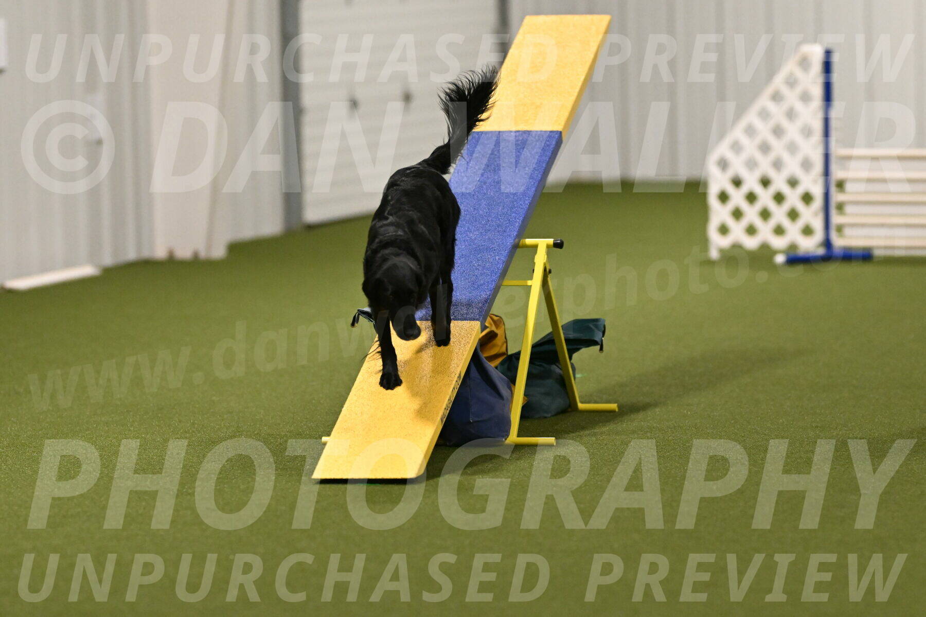 Zinnia-Deborah-Ting-03237