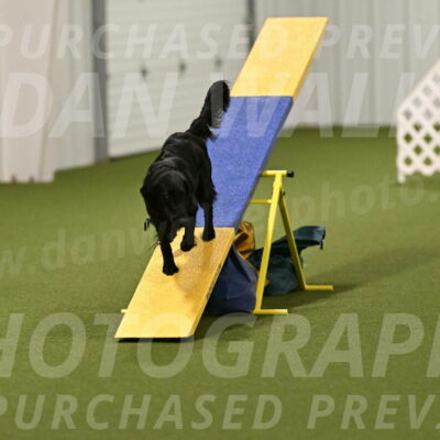 Zinnia-Deborah-Ting-03238