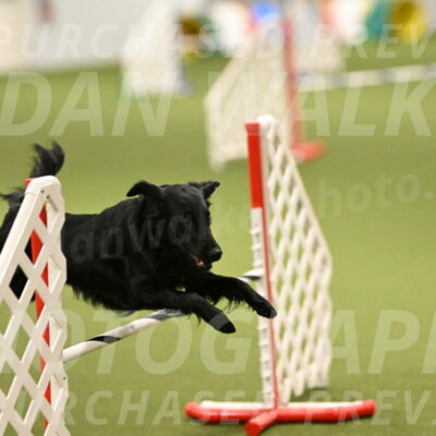 Zinnia-Deborah-Ting-03239