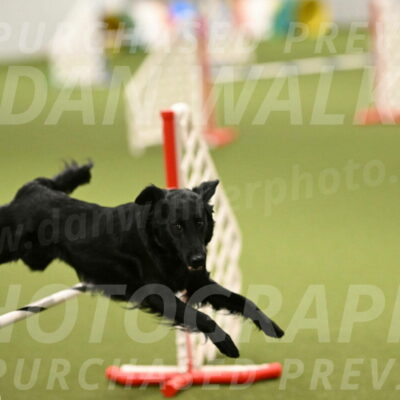 Zinnia-Deborah-Ting-03240