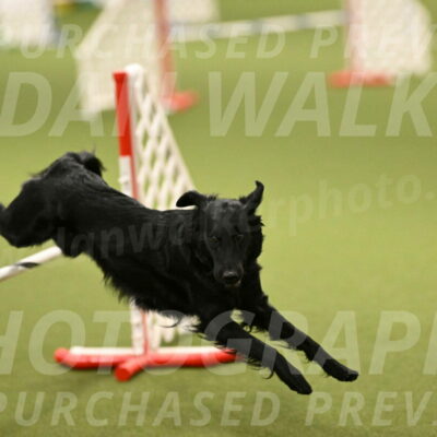 Zinnia-Deborah-Ting-03241