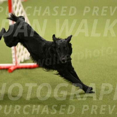 Zinnia-Deborah-Ting-03242