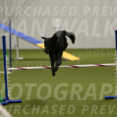 Zinnia-Deborah-Ting-03243