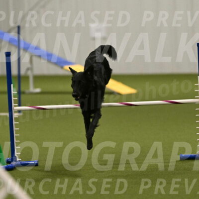 Zinnia-Deborah-Ting-03244