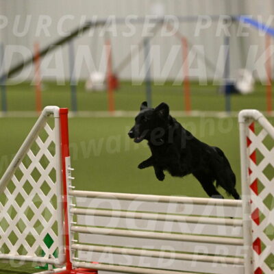 Zinnia-Deborah-Ting-03245