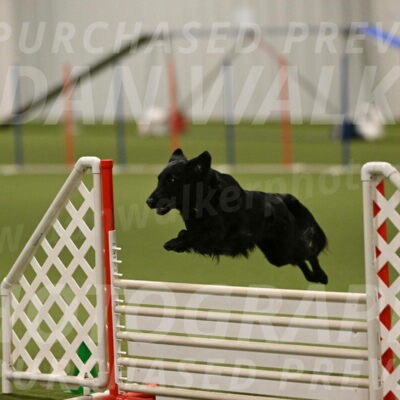 Zinnia-Deborah-Ting-03246