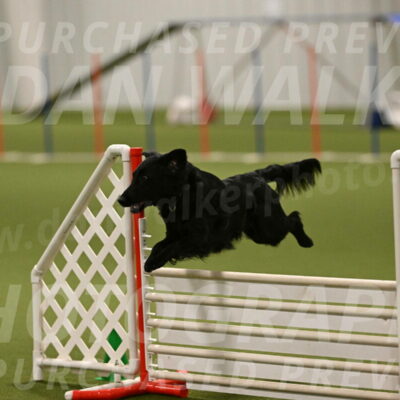 Zinnia-Deborah-Ting-03247