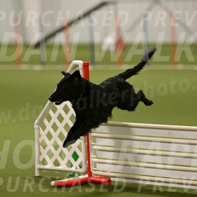 Zinnia-Deborah-Ting-03248