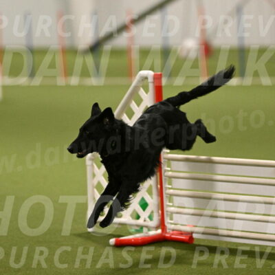 Zinnia-Deborah-Ting-03249