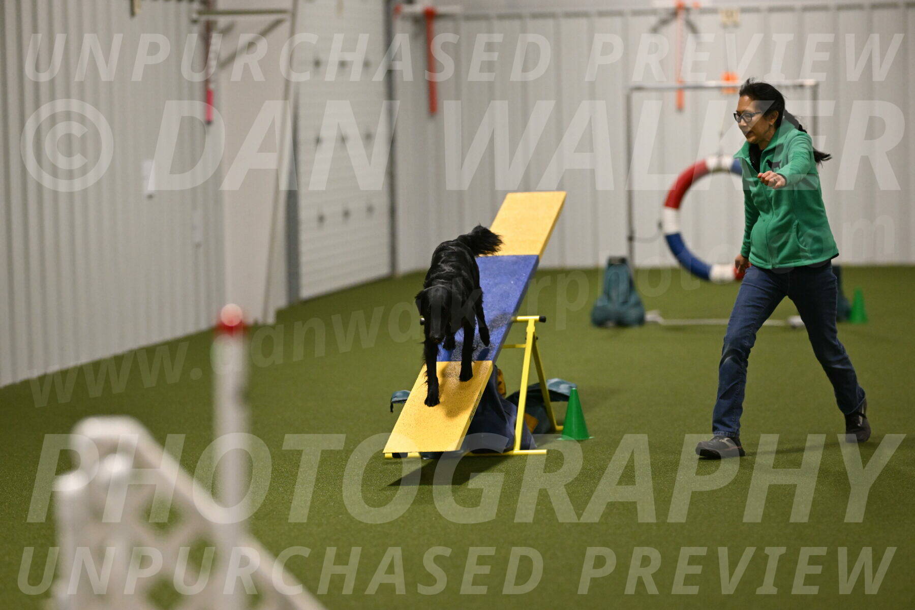 Zinnia-Deborah-Ting-03250