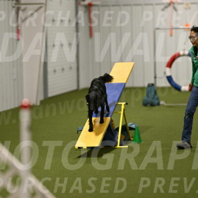 Zinnia-Deborah-Ting-03250