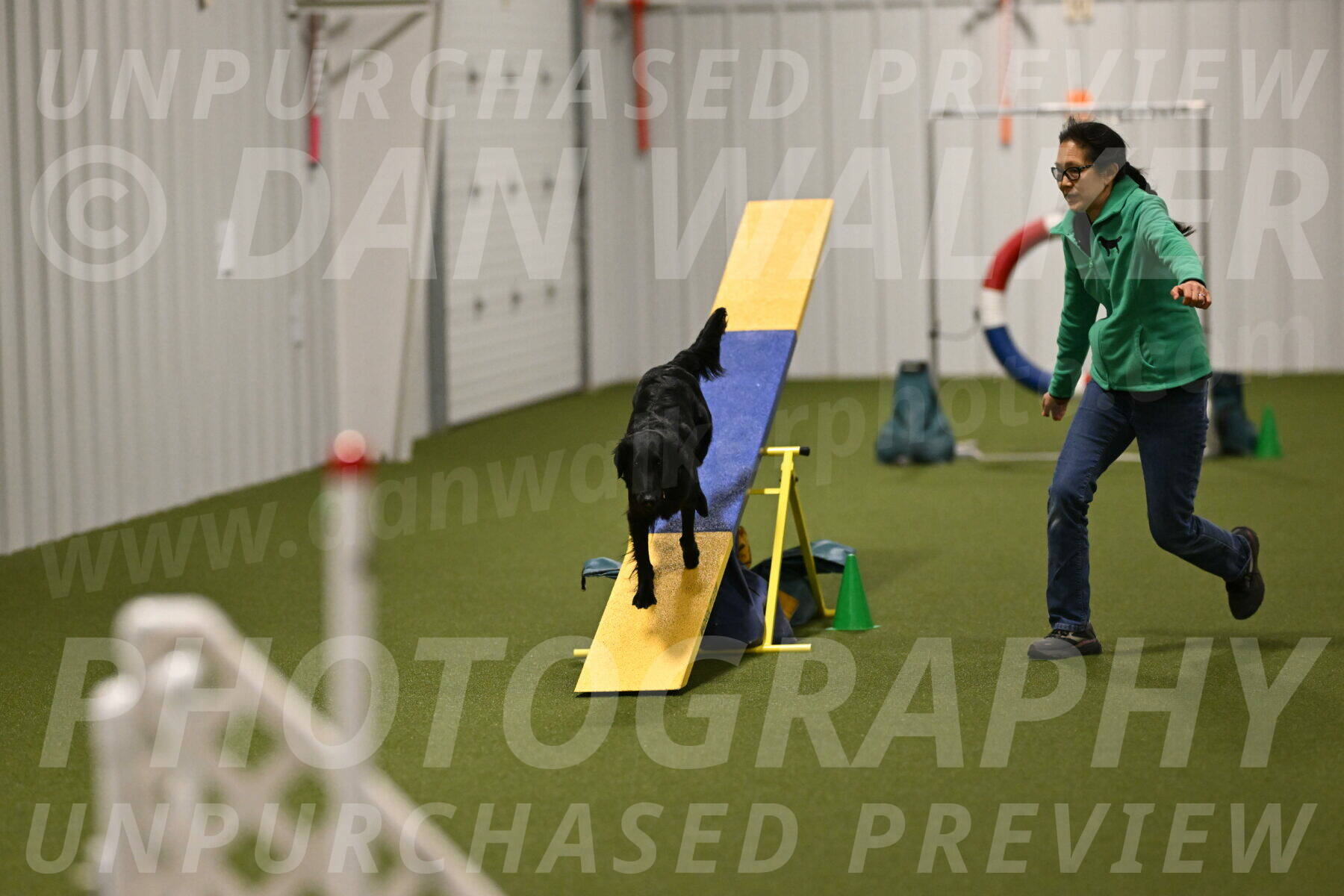 Zinnia-Deborah-Ting-03251