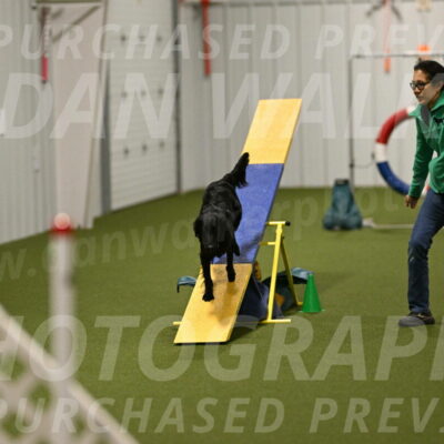 Zinnia-Deborah-Ting-03251