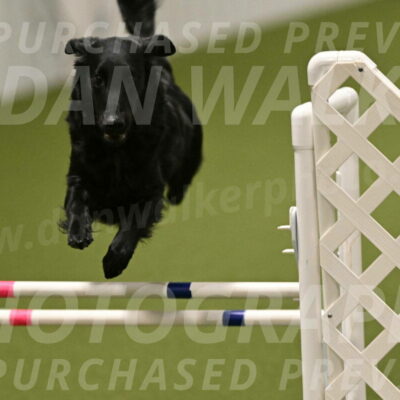 Zinnia-Deborah-Ting-03252