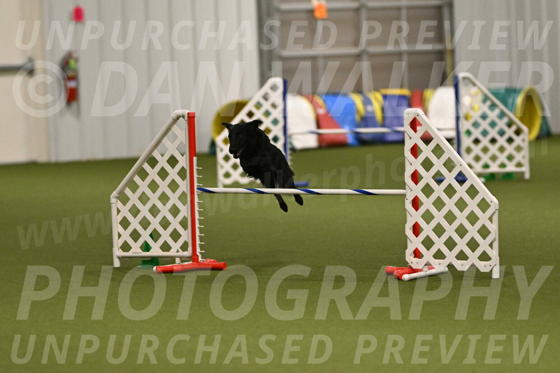 Zinnia-Deborah-Ting-03253