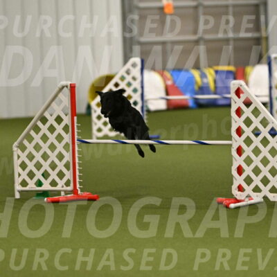 Zinnia-Deborah-Ting-03253