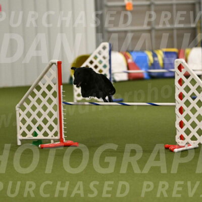 Zinnia-Deborah-Ting-03254