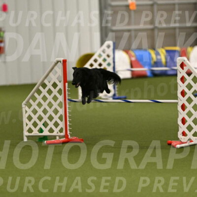 Zinnia-Deborah-Ting-03255