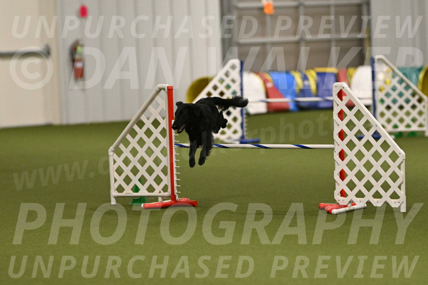 Zinnia-Deborah-Ting-03256