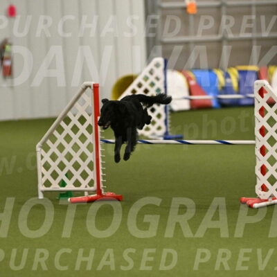 Zinnia-Deborah-Ting-03256