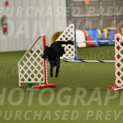 Zinnia-Deborah-Ting-03257