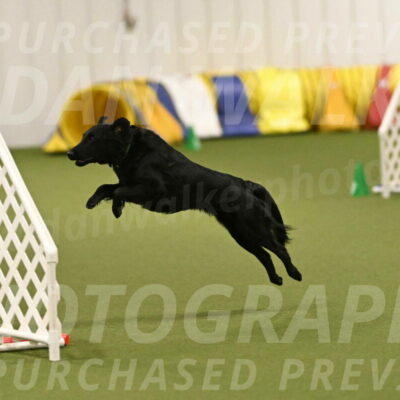 Zinnia-Deborah-Ting-03258