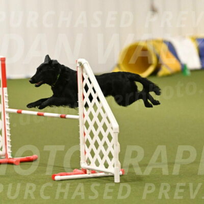 Zinnia-Deborah-Ting-03259