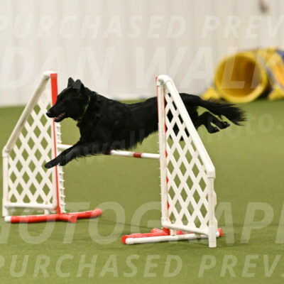 Zinnia-Deborah-Ting-03260