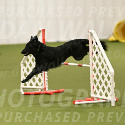 Zinnia-Deborah-Ting-03261