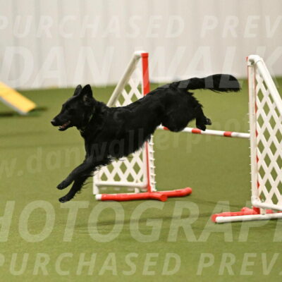 Zinnia-Deborah-Ting-03262