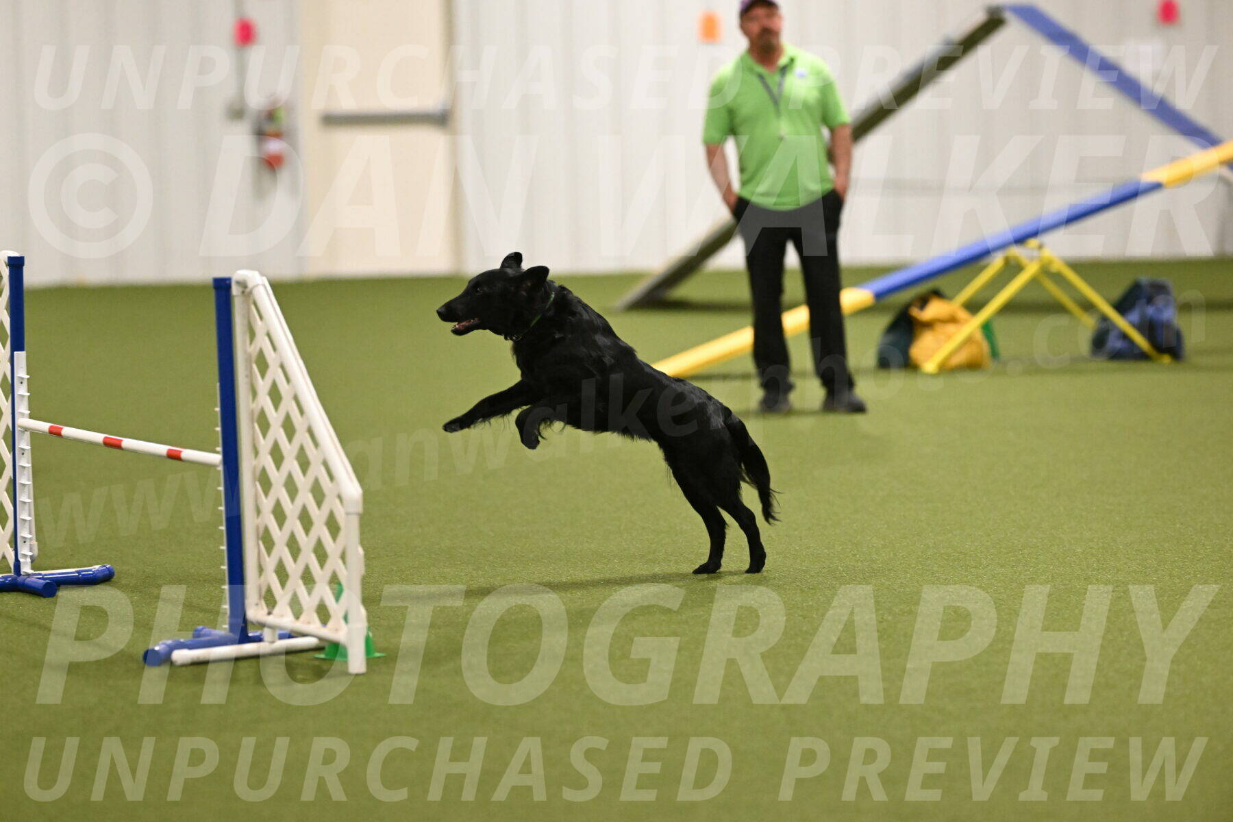 Zinnia-Deborah-Ting-03263