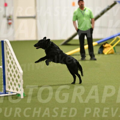 Zinnia-Deborah-Ting-03263