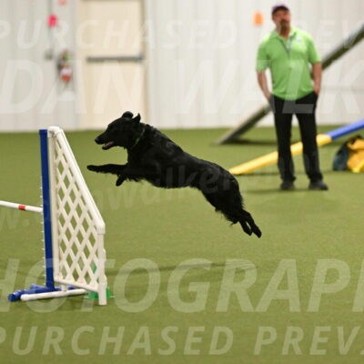 Zinnia-Deborah-Ting-03264