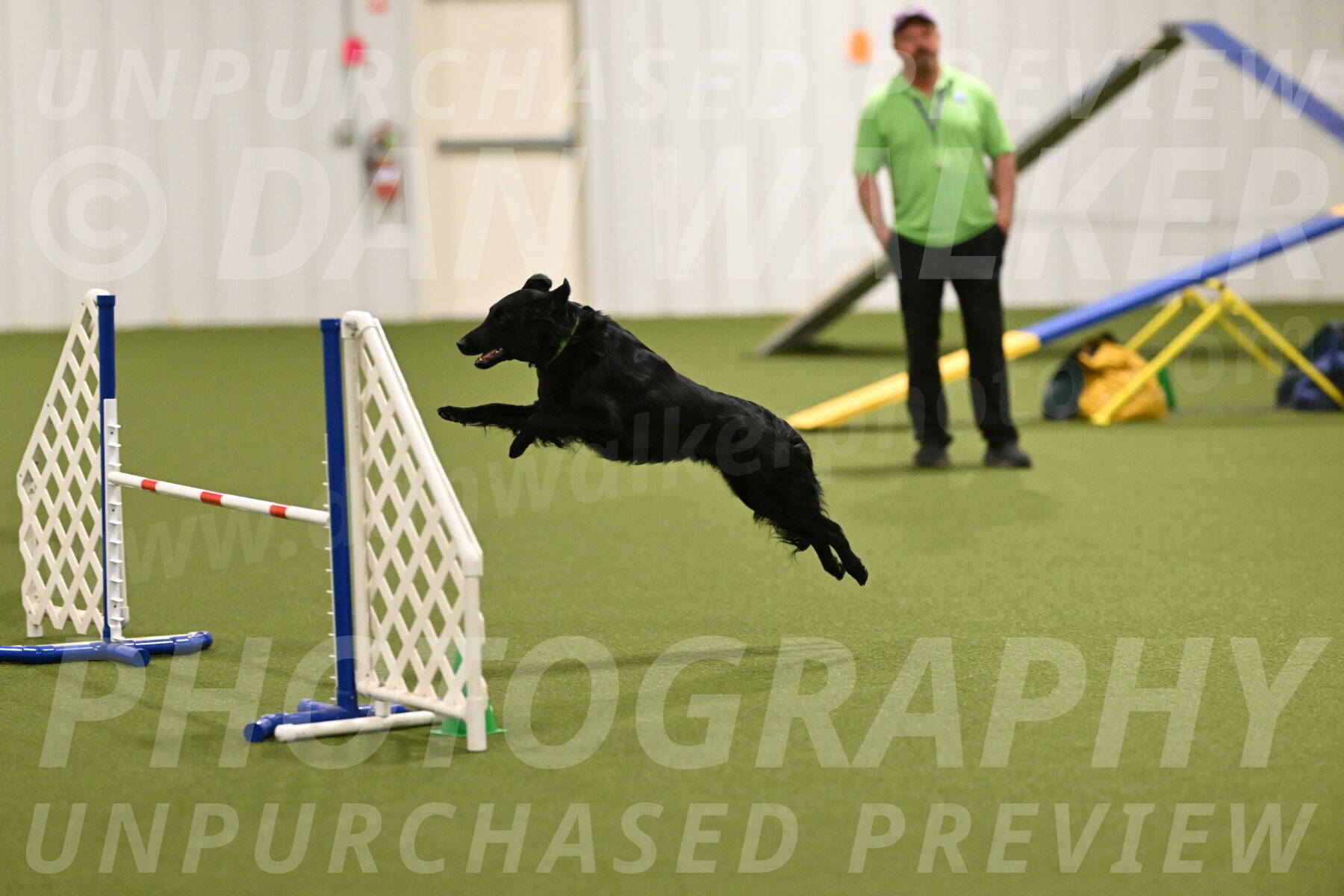 Zinnia-Deborah-Ting-03264