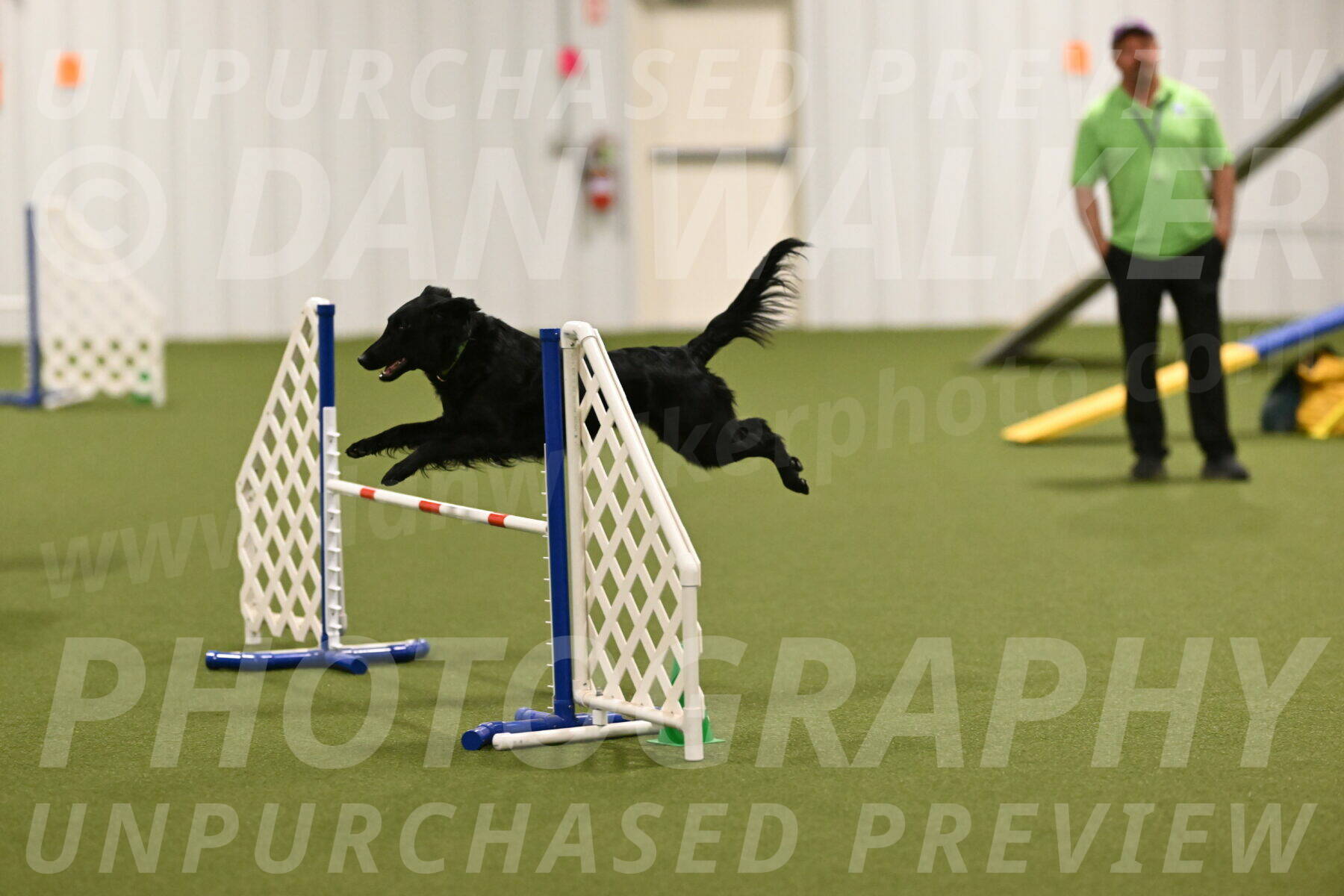 Zinnia-Deborah-Ting-03265