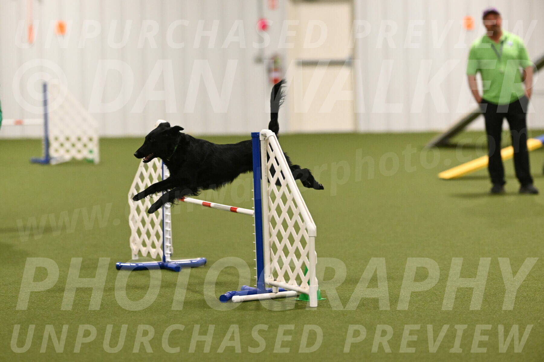 Zinnia-Deborah-Ting-03266