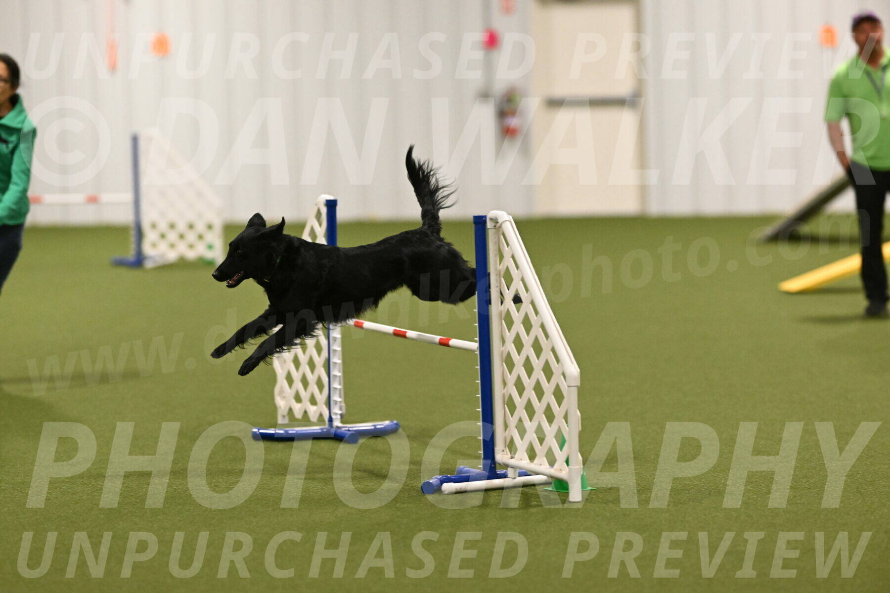 Zinnia-Deborah-Ting-03267