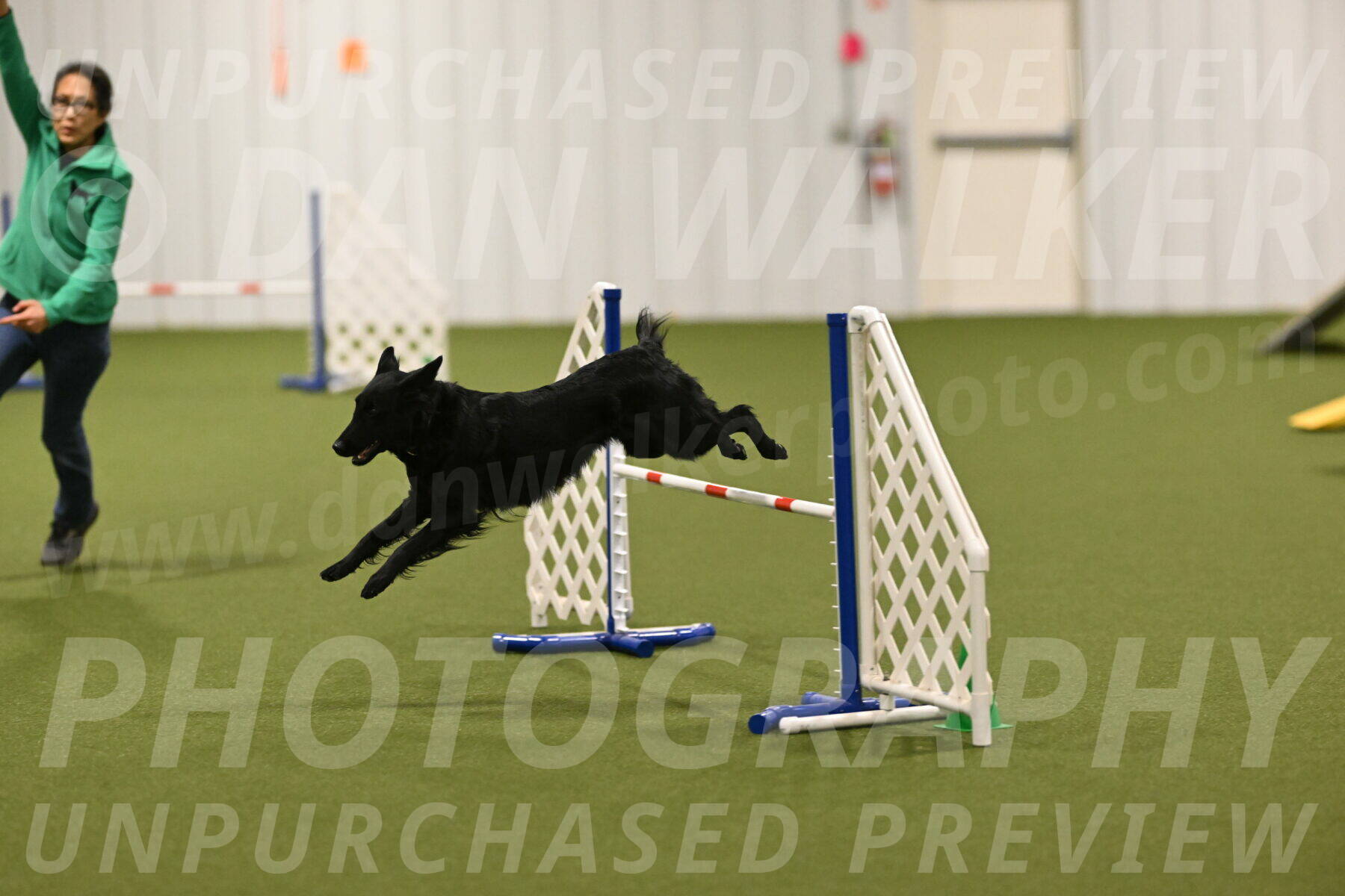 Zinnia-Deborah-Ting-03268