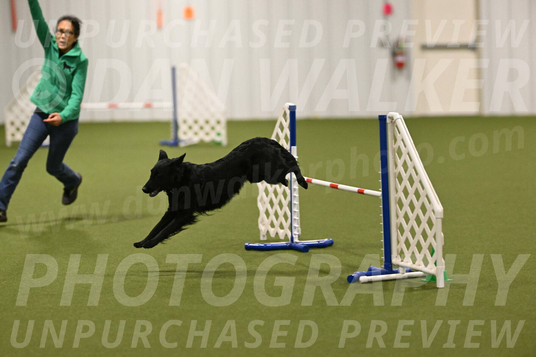 Zinnia-Deborah-Ting-03269