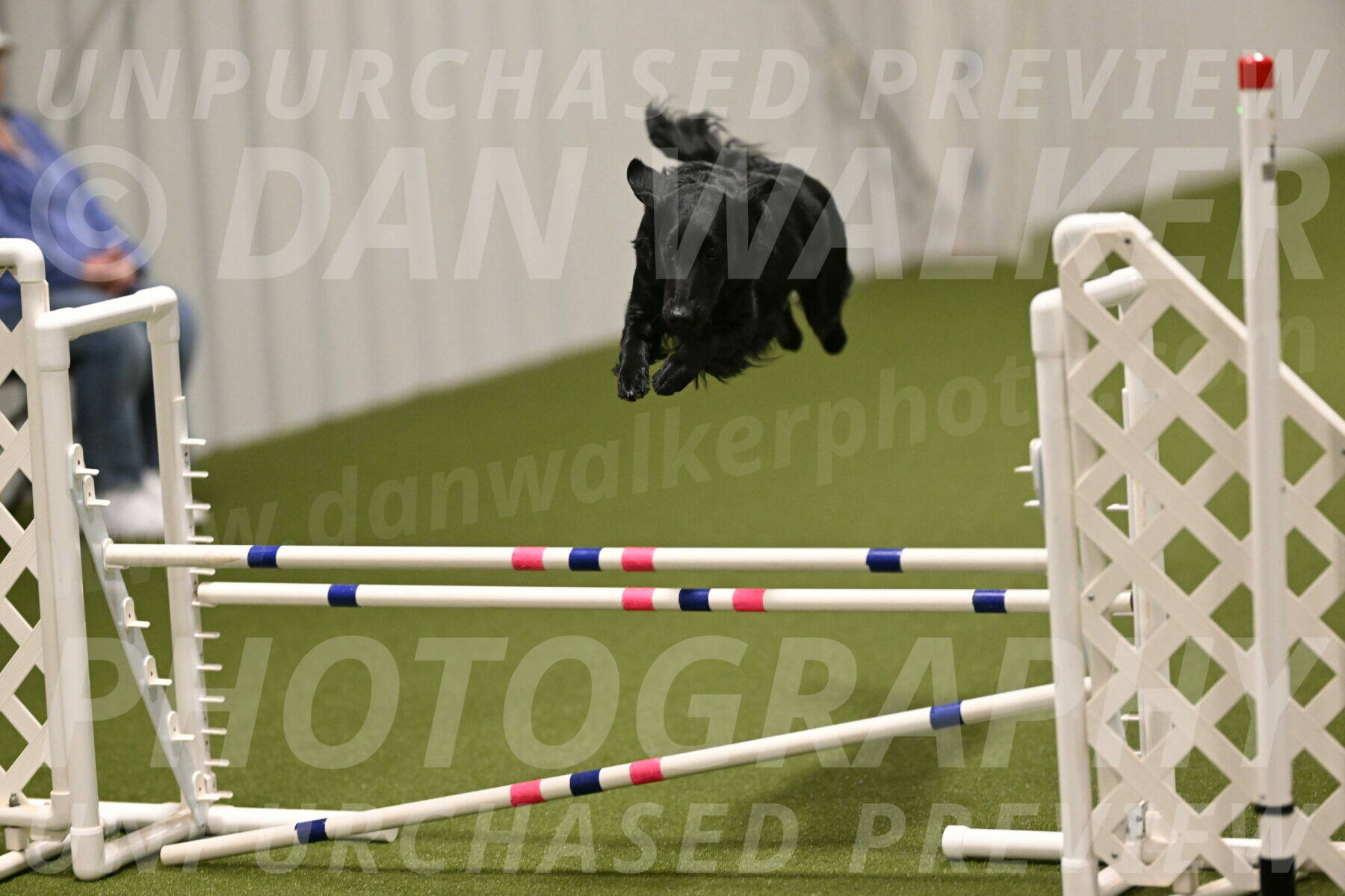 Zinnia-Deborah-Ting-03270