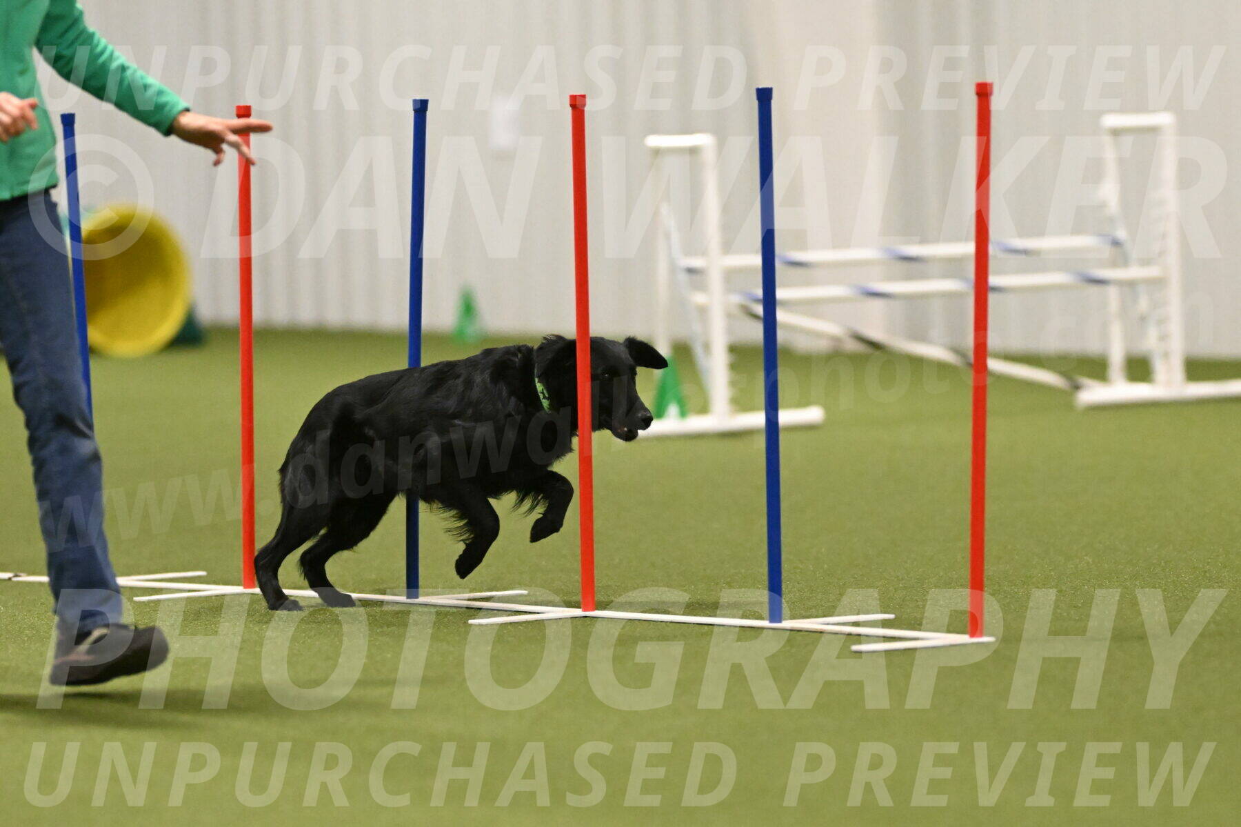 Zinnia-Deborah-Ting-03273