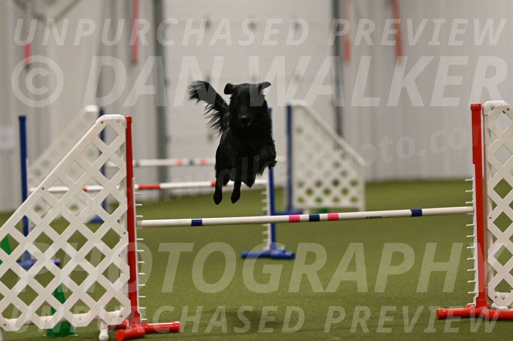 Zinnia-Deborah-Ting-03276