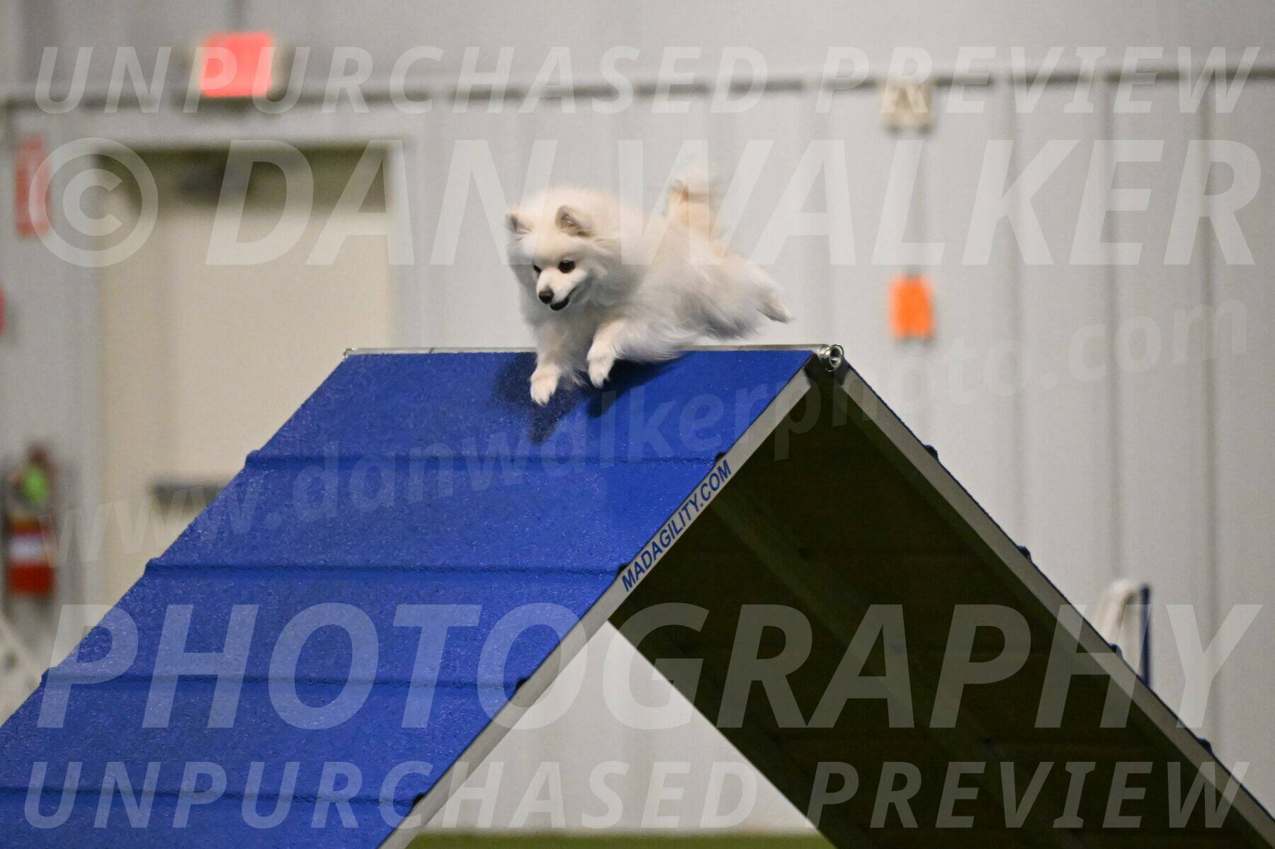 Zoey-Denise-Schneider-08541